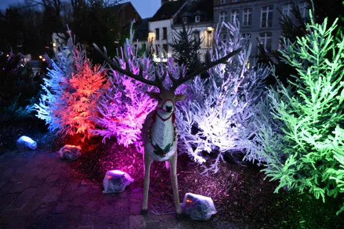 Illuminations de Noël : quelle stratégie dans les communes de...