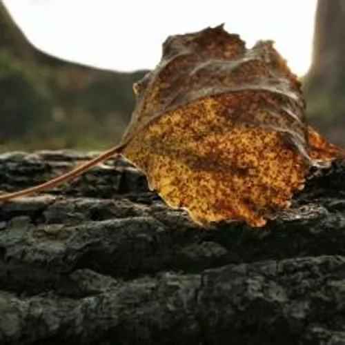 L'HOMME DISPARU DANS LE VAR RETROUVÉ SANS VIE