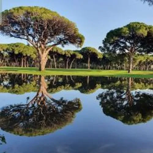 REOUVERTURE SAMEDI DU GOLF OLD COURSE DE CANNES MANDELIEU IMPACTE...