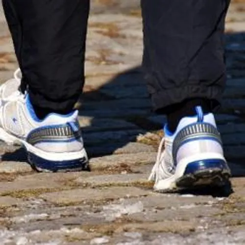 LES RÉSULTATS SPORTIFS