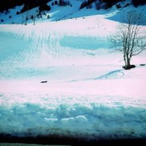 CARNET NOIR APRÈS UN ACCIDENT DE SKI