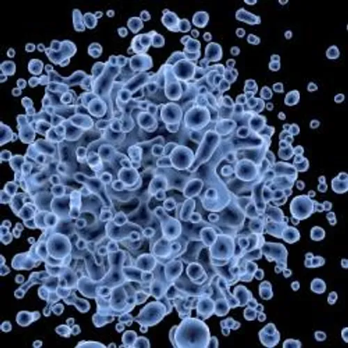 LE POINT SUR LE CORONAVIRUS CHINOIS