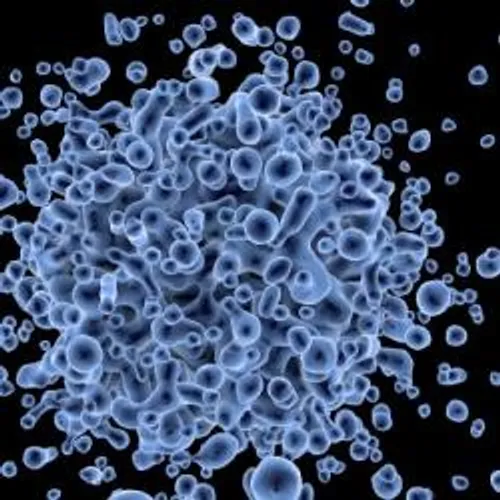 4 ème CAS DE CORONAVIRUS EN FRANCE: LE PATIENT CHINOIS EST EN...