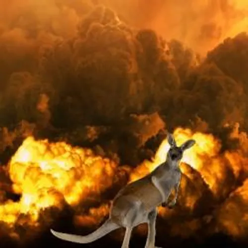 RECORD DE TEMPERATURE EN JANVIER DANS LE MONDE