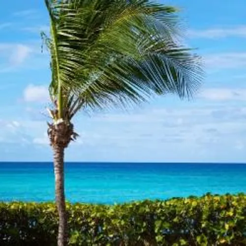 VIGILANCE ORANGE AUX VENTS VIOLENTS JUSQU'A MIDI DANS LES...