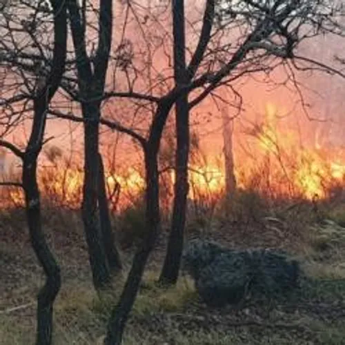 6 INCENDIES EN 2 JOURS DANS LES ALPES-MARITIMES