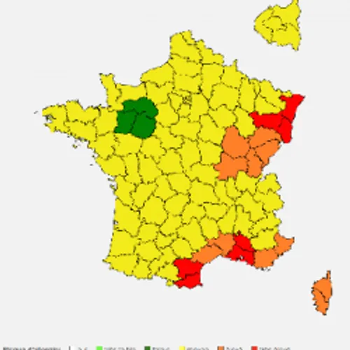 ALERTE ORANGE AUX POLLENS