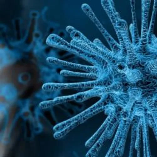 LE POINT SUR LE CORONAVIRUS
