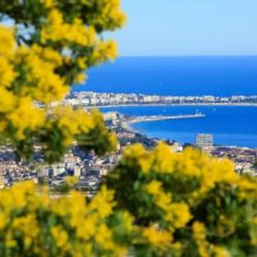 FAIBLE PROGRESSION DU CORONAVIRUS SUR LA COTE D'AZUR