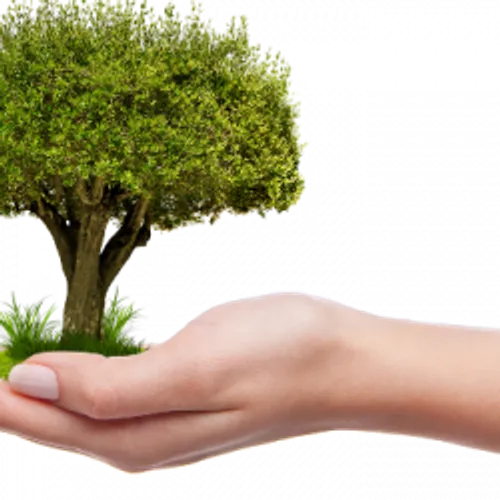 INTERPELLATION DE 4 MILITANTS GREEN PEACE À NICE