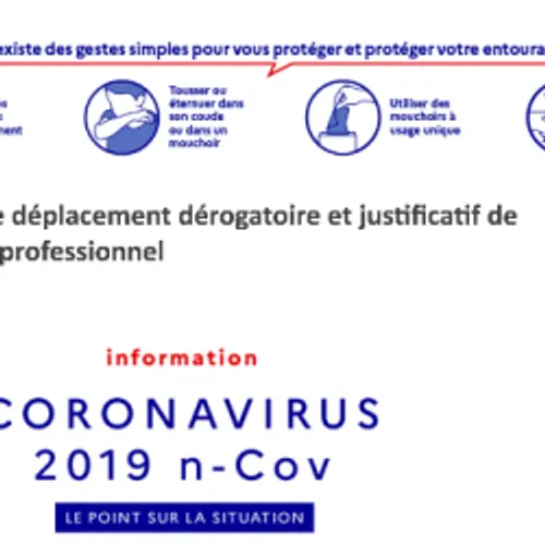 LE CORONAVIRUS ET LES INTERDICTIONS DE DÉPLACEMENT