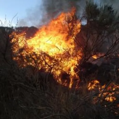UN INCENDIE À CONTES