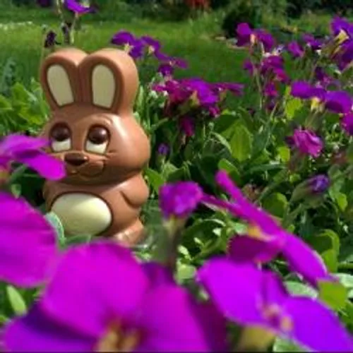 PAS DE RASSEMBLEMENTS POUR LES FETES RELIGIEUSES DU MOIS D'AVRIL