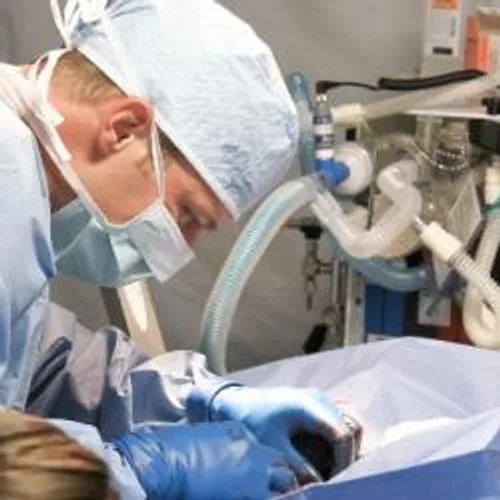 365 DECES EN UNE JOURNEE: LA FRANCE ENREGISTRE SA PLUS FORTE...