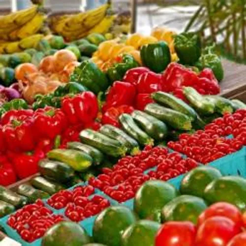 16 MARCHES ALIMENTAIRES RESTENT OUVERTS DANS LES ALPES-MARITIMES