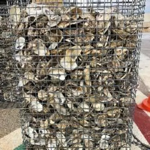 TRENTE NOUVELLES NURSERIES A POISSONS DANS LES PORTS CANNOIS