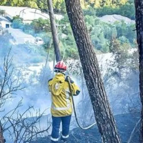 2 HECTARES PARTENT EN FUMÉE À CANTARON