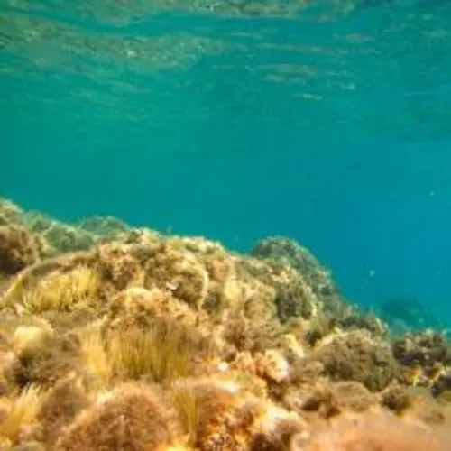 LA CAMPAGNE ECOGESTES MÉDITERRANÉE