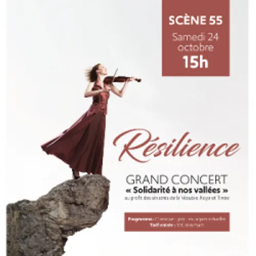 UN GRAND CONCERT SAMEDI 24 OCT A SCENE 55 AU PROFIT DES SINISTRES...