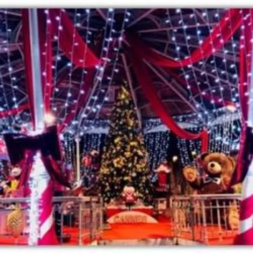 LE VILLAGE DE NOEL OUVRE SES PORTES SAMEDI SUR LES ALLEES DE LA...