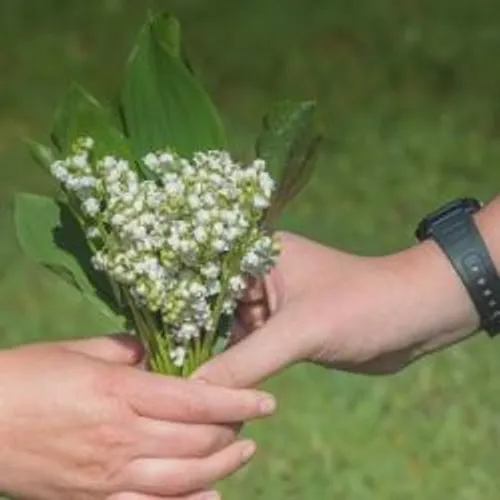LE MUGUET DU 1ER MAI AUTORISE MAIS REGLEMENTE