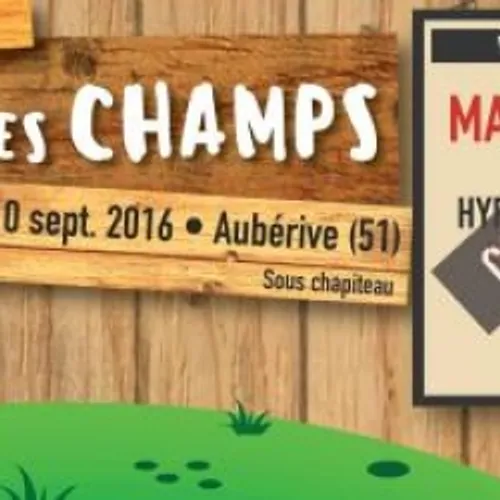 Carton plein pour Manu Chao avec la Poule des Champs !