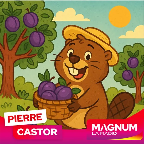 Pierre CASTOR 25.08.2025 : Pourquoi dit-on "travailler pour des...