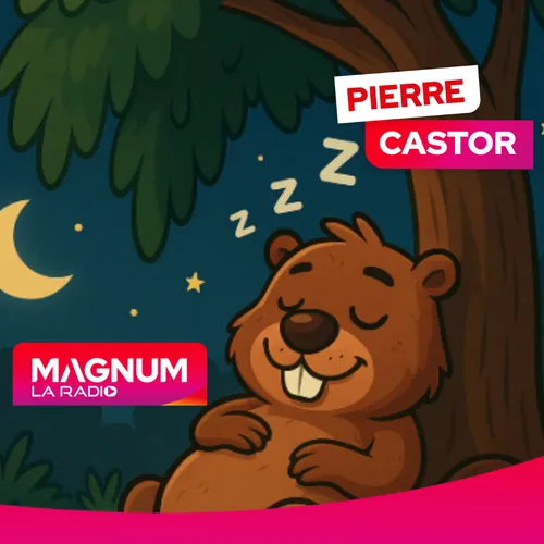 Pierre CASTOR 23.09.2025 : Pourquoi les arbres baissent leur...