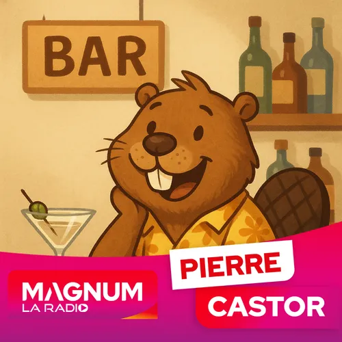 Pierre CASTOR 10.09.2025 : Quelle est l’origine du mot « bar » ?