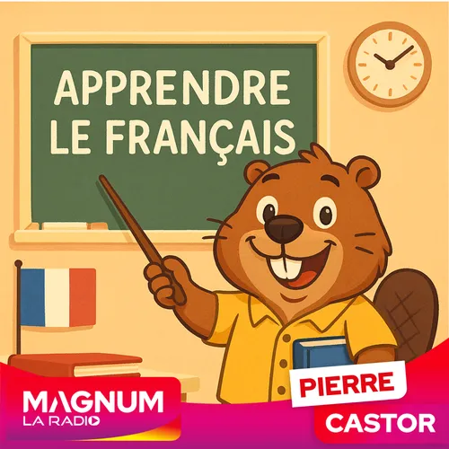 Pierre CASTOR 01.09.2025 : Dans quels pays l’enseignement du...