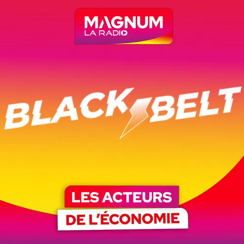 LES ACTEURS DE L'ÉCONOMIE - BLACKBELT