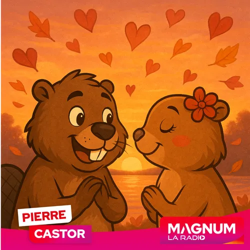 Pierre CASTOR 29.10.2025 : Déclaration d’un Castor Amoureux