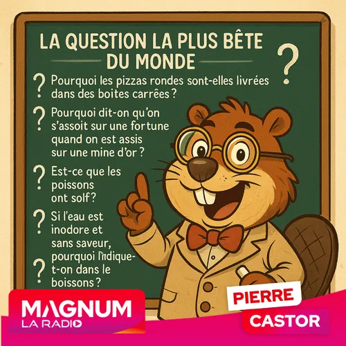 Pierre CASTOR 20.10.2025 : Quelle est la question la plus bête du...