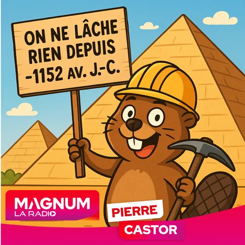 Pierre CASTOR 07.11.2025 : Pourquoi les syndicats doivent-ils...