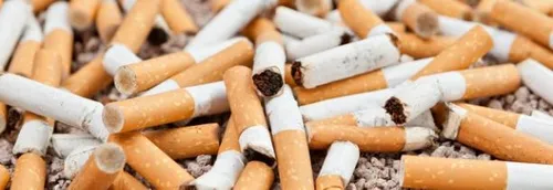 Journal 12h - A Orchies, on récompense ceux qui ramassent les...