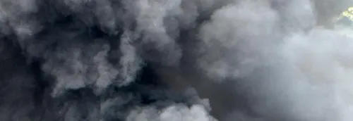 Journal 12h - La préfecture des Hauts de France prend des arrêtés...