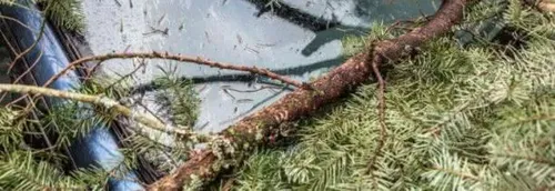 Journal 12h - Les orages ont fait quelques dégâts hier, dans le...