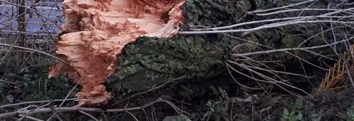 Journal 12h - Le Nord et le Pas de Calais touchés de plein fouet...