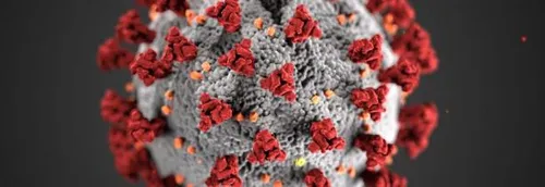 Journal 17h - Le bilan du coronavirus toujours en hausse en France...