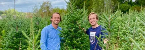 "Mon Beau Sapin" : Un service de livraison de sapin dans la...