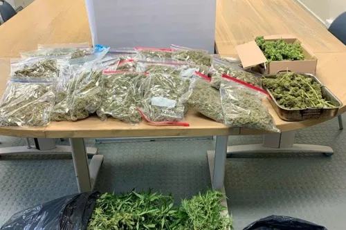 Journal 12h - Une saisie de stupéfiants dans le Pas de Calais