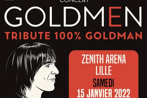 Qui va chanter ce 15 janvier au Zenith de Lille avec Goldmen ?