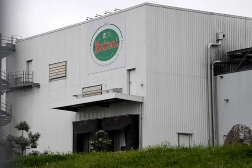 Journal 9h - 56 cas de contamination aux pizzas Buitoni, dont 12...