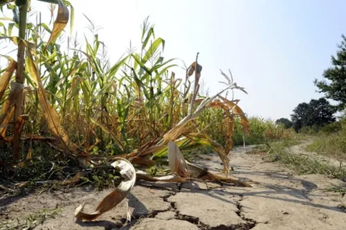 Journal 12h - Les bassins de la Sambre et de l'Yser en alerte...