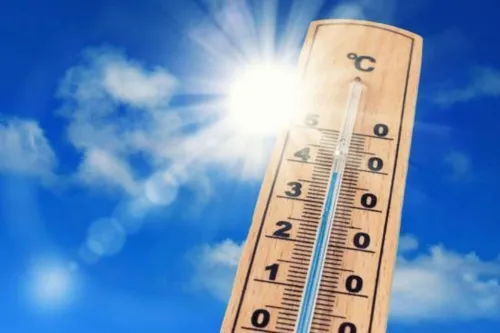 Journal 12h - On parle canicule, sécheresse et incendie ce midi