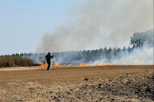 Journal 12h - Avec la chaleur, les pompiers du Nord appellent à la...