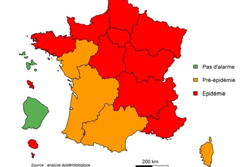 Journal 9h - Grippe : les Hauts de France en phase épidémique