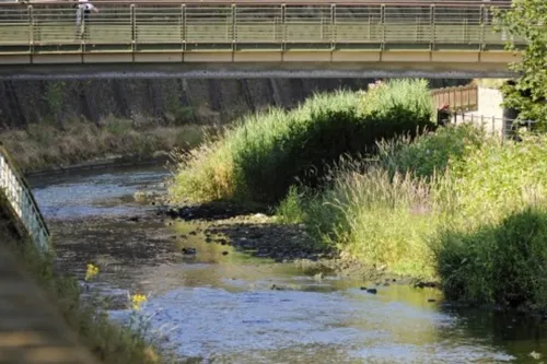 Journal 12h – Le spectre de la sécheresse déjà d’actualité dans...