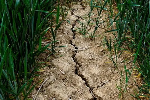 Journal 12h – Le Pas de Calais à son tour en vigilance sécheresse