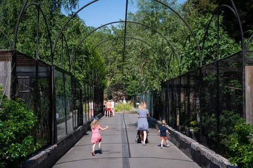 Journal 12h - Les auteurs du vol de tortues au Zoo de Lille ont été...